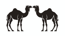 A Pair Of Camel Silhouette For Logo Or Graphic Design