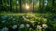 Forest clearing, carpeted with wildflowers, close-up, high-angle shot, bright midday sun