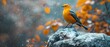 Vigilant Canary Amidst a Misty Haze. Concept Nature Photography, Bird Watching, Moisture in Air, Canary Bird Behavior, Environmental Awareness