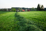 Fototapeta Sypialnia - Haymaking, hay making for livestock in countryside
