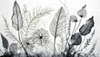 Czarno-biała ilustracja z kwitami i liśćmi. Łąka kwiatowa. Tapeta, delikatne tło roślinne