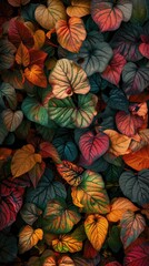 Wall Mural - Autumn Colorful Fall Leaves Seamless Background