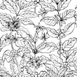 Coffee branch pattern with leaves and beans. Botanical ornament. Cafe food illustrations
