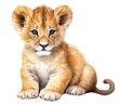PNG  lion cub animal watercolor. 