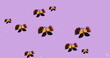 Digital image of multiple butterfly icons and white particles floating against purple background