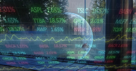 Poster - Image of stock market data processing and spinning globe against man in swimming pool