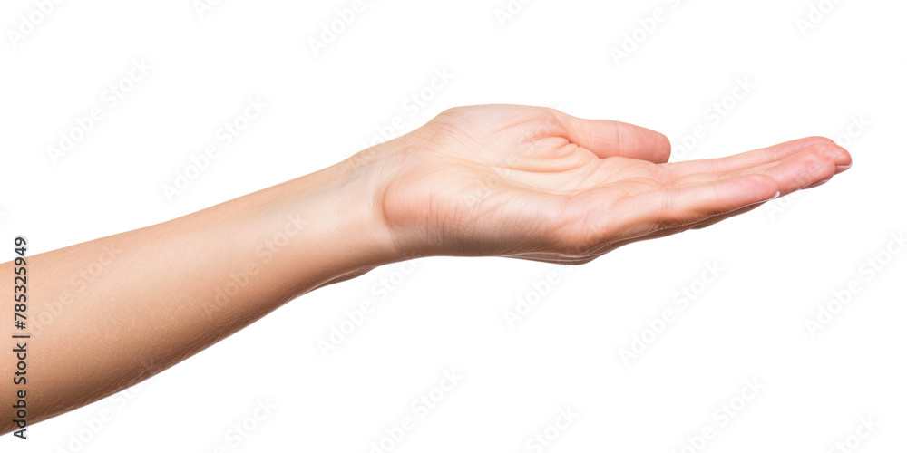 young female flat hand holding something, isolated on white or ...