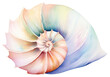 PNG Spiral shell conch invertebrate. AI generated Image by rawpixel.