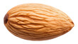 PNG Almond food white background freshness. 