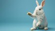 White rabbit gesturing with paws on blue - An endearing white rabbit, with a gentle expression, makes a gesture with its paws on a soft blue backdrop