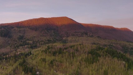 Poster - drone flies in the spring Carpathians, over a village, flowering trees, beech forest, green lawns, shadows from the setting sun, Ukraine