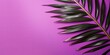 Palm leaf on a purple background with copy space for text or design. A flat lay, top view. A summer vacation concept