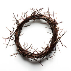 Wall Mural - Crown of thorns on a white background