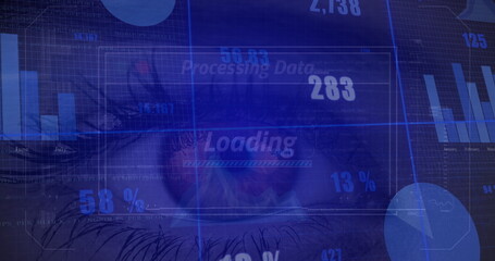 Aufkleber - Image of financial data and graphs over woman eye on blue background