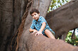 Curious Explorer - Kid's Adventure Up a Tree
