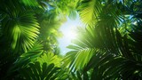 Fototapeta Krajobraz - Tropical Leaves: A photo of a tropical forest canopy, showcasing the lush greenery and abundance of tropical leaves