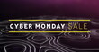 Image of cyber monday sale text banner and topography against purple background