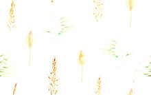 Grass Seamless Watercolor Pattern. Summer Grass Motif. Vintage Garden Wallpapaer.. Botanical Meadow Border. Plantago And Apera Dried Wild Plants. Abstract Floral Illustration. Fortuna Gold And Yellow
