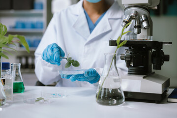 scientist works with a pipette and a test tube. scientific laboratory of biotechnology, development 