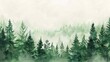 lush green forest watercolor painting handdrawn fir and spruce trees landscape illustration