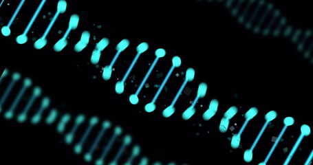 Wall Mural - image of dna strands with light spots on black background