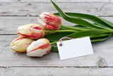 Fototapeta Lawenda - Bouquet of striped tulips in red, yellow and white and card with copy space