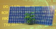 Image of stock market over solar panels and plant on yellow background