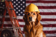 Golden retriever dog dressed in a yellow construction hard hat sits in front of an usa flag and patriotism and safety.