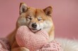 A Shiba Inu dog with closed eyes giving a hug to a pink plush heart, a display of affection and companionship.