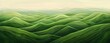 light and dark greens waves with subtle gradients，symbolizes growth, vitality, nature's beauty, or environmental themes，wallpaper for digital devices or posters