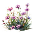 Flower grass spring in watercolor style isolated on transparent background.