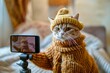 Ginger cat cartoon character in clothes posing in front of smartphone, blogger, pet influencer, petfluencer  concept