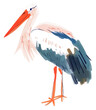 PNG Cute stork illustration animal waterfowl pelican.