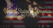 Image of glowing fireworks and united states of america text over american flag