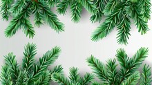 An Illustration Of A Realistic Pine Tree Branch Border. There Are Green Needles On The Twigs And The Frame Is Isolated On A Transparent Background. A Winter Holiday Evergreen Decoration With Elements
