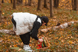 Fototapeta Na drzwi - woman in autumn forest looking for mushrooms