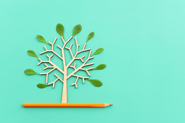 Wall Mural - Top view image of pencil and tree concept. idea of education, creativity, and growth