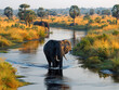 African elephant (Loxodonta africana), African steppe elephant or African bush elephant