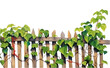 PNG Vine with house fence boarder outdoors nature plant