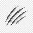 Black claw scratches - vector isolated. Claws scratches animal claw tracks cat or tiger bear or lion nails scratches. Horror, Halloween monster. Vector