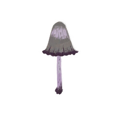 Pencil children's illustration sketch of a mushroom