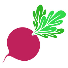 Poster - beet vegetable plant