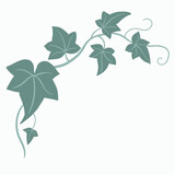 Fototapeta Mapy - Floral ivy drawing decorative ornament flat design.