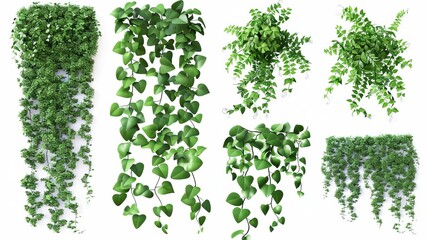 Wall Mural - set of cutout dichondra creeper plants and vines isolated on white realistic 3d rendering of lush green foliage natural design elements