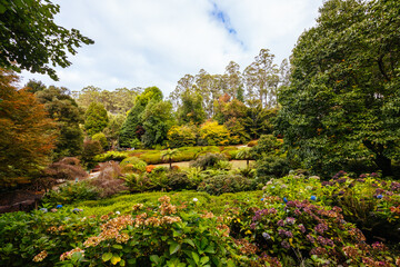 Canvas Print - Dandenong Ranges Botanic Garden in Olinda Australia