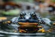 A curious frog peers out from the rippling water, symbolizing curiosity, adaptability, and the richness of wetland life
