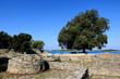 Remains of a Roman villa in the Verige bay, National park Brioni, Croatia