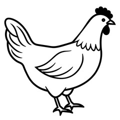 Wall Mural - illustration of a chicken