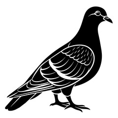 Sticker - pigeon on white