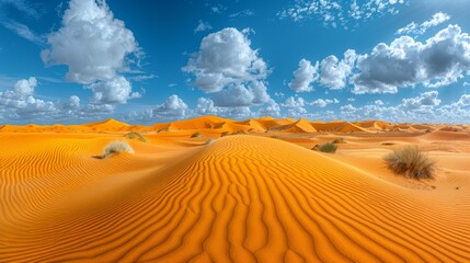 Poster -  sand dunes, blue sky with wisps, small bushes